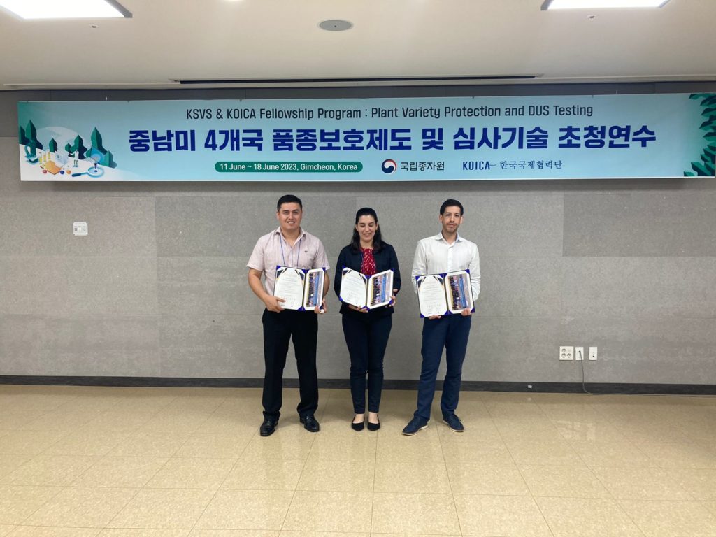 Técnicos del SENAVE comparten sus vivencias como becarios en Corea